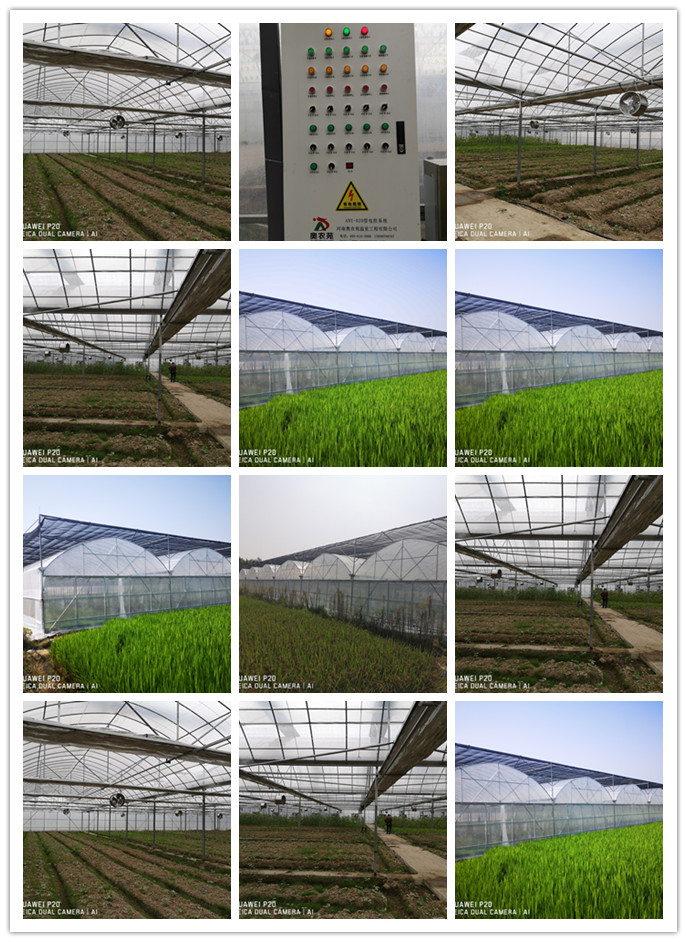 浙江省湖州農校連棟智能薄膜溫室大棚